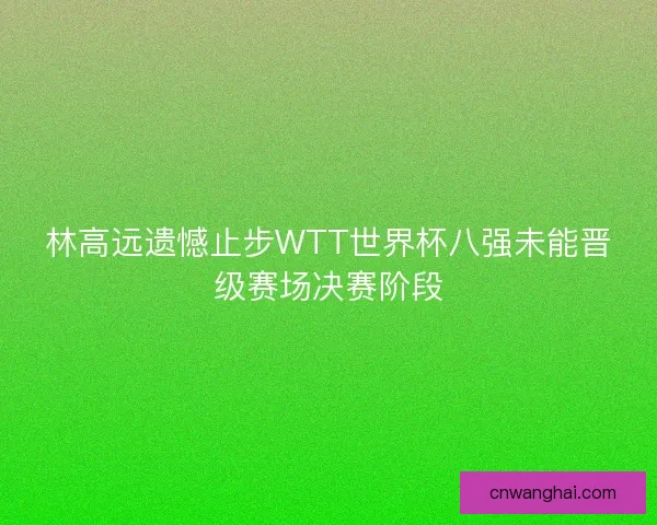林高远遗憾止步WTT世界杯八强未能晋级赛场决赛阶段